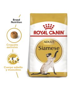 Royal Canin - Siamese Adulto