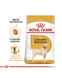 Royal canin - Labrador Retriever Adult