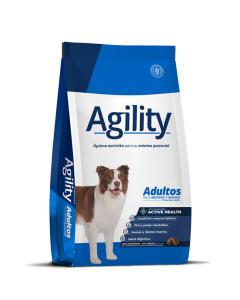 Agility - Dog Adults Med/Grand