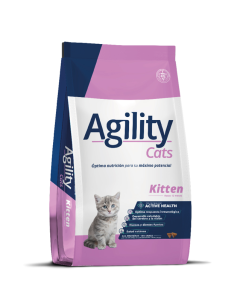 Agility - Cat Kitten