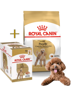 Royal canin - Promocion Caniche Adult-7.5 Kg + 1 caja de Pouch Caniche Ad (12Unid)