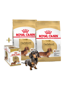 Royal Canin - Promocion Dachshund Adult-6 Kg + 1 caja de Pouch Dachshund Ad (12Unid)