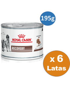 Royal canin - Dog/Cat Recovery Lata Pack 6 Unid